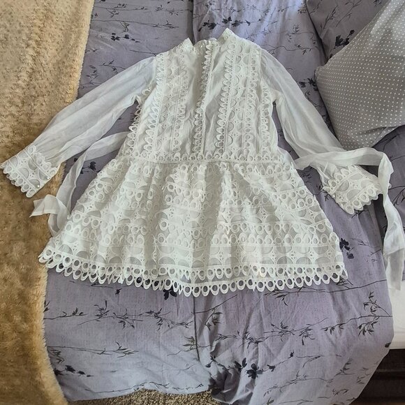 New Collection Lace Frill Mini Dress - Picture 3 of 9